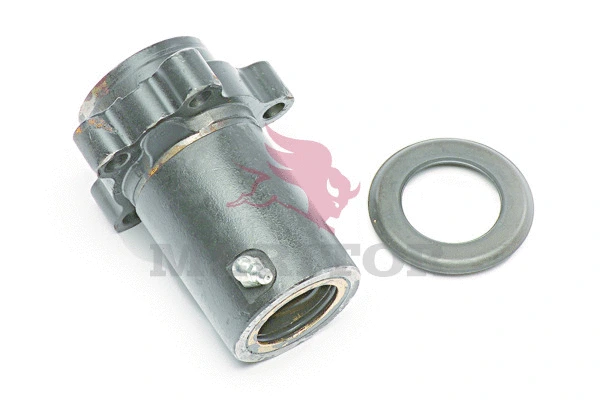 Suspension Strut, air suspension (21222442)