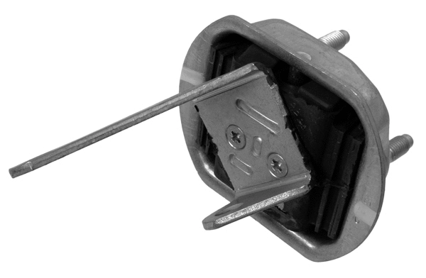 Bushing, axle beam (19307 01)