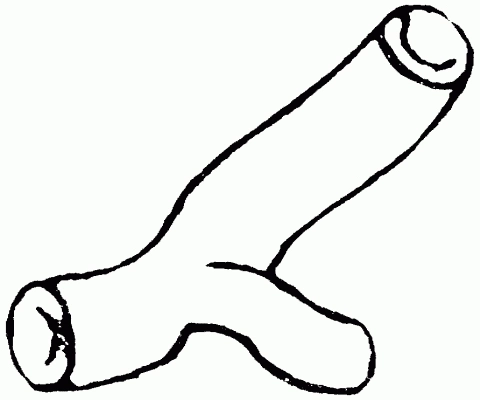 Radiator Hose (14301 01)