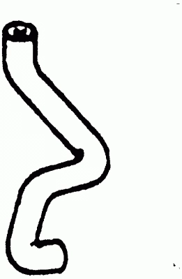 Radiator Hose (14416 01)