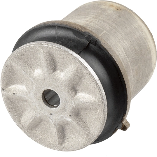 Bushing, axle beam (42536 01)