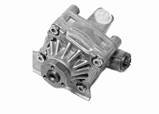 Hydraulic Pump, steering (22198 01)