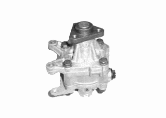 Hydraulic Pump, steering (13300 01)