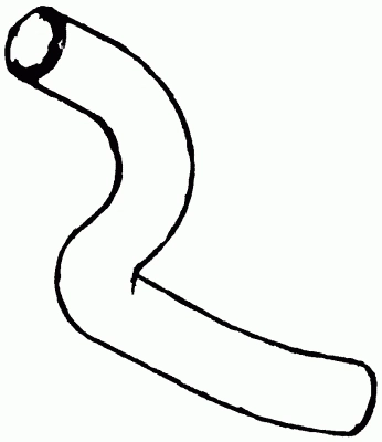 Radiator Hose (16555 01)