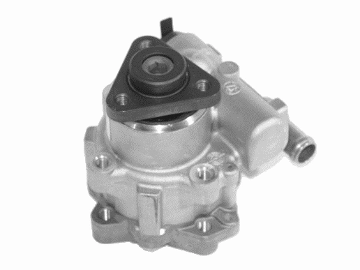Hydraulic Pump, steering (25007 01)