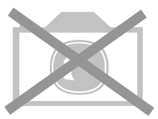 Mounting, manual transmission (25566 01)