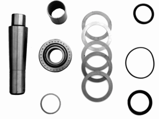 Repair Kit, kingpin (24813 01)