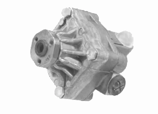 Hydraulic Pump, steering (25945 01)