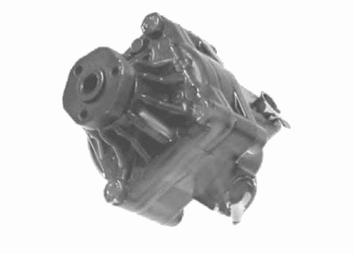 Hydraulic Pump, steering (22193 01)