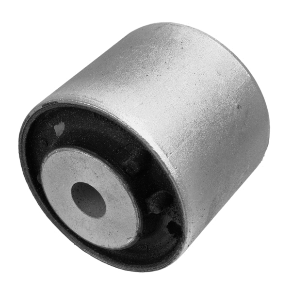 Mounting, transfer case (35918 01)