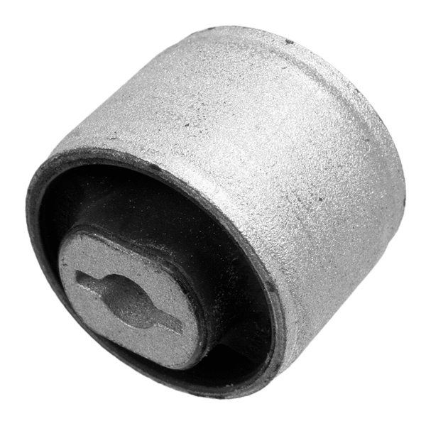 Mounting, control/trailing arm (29505 01)