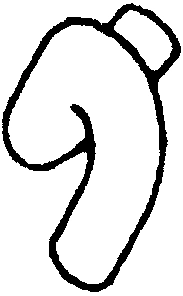 Radiator Hose (13800 01)