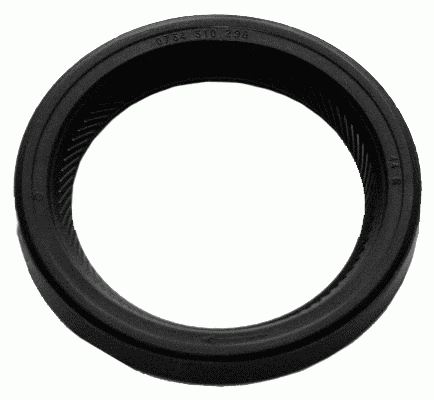 Shaft Seal (13070 01)