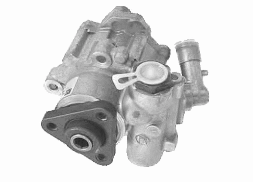 Hydraulic Pump, steering (22202 01)