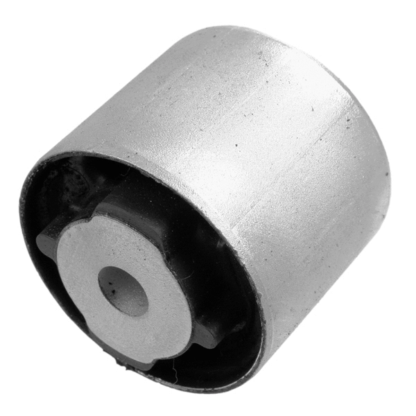 Mounting, transfer case (29923 01)