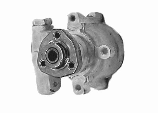 Hydraulic Pump, steering (14303 01)