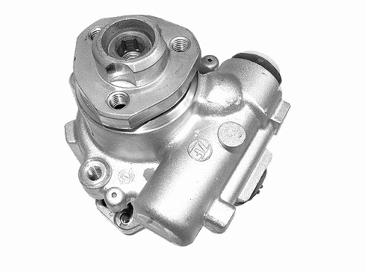 Hydraulic Pump, steering (25005 01)