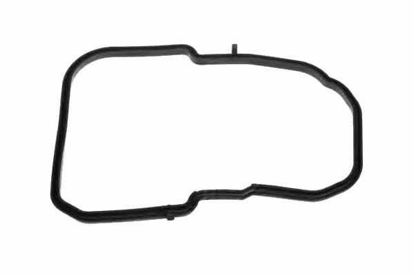 Oil Seal, automatic transmission (11307 01)