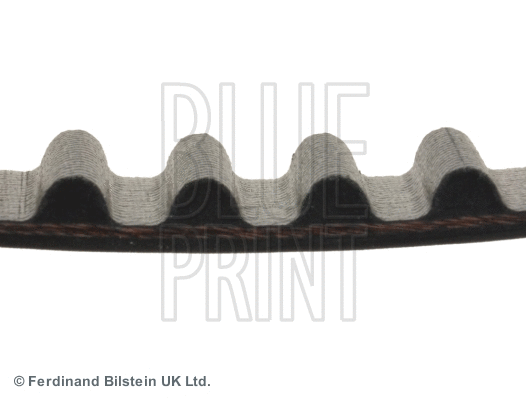 Timing Belt