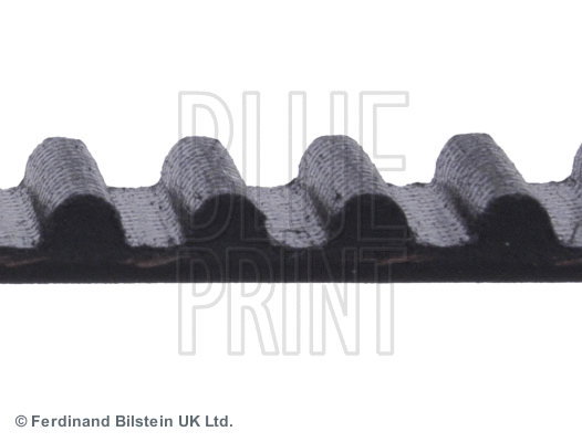Timing Belt