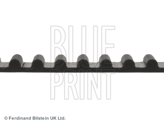 Timing Belt