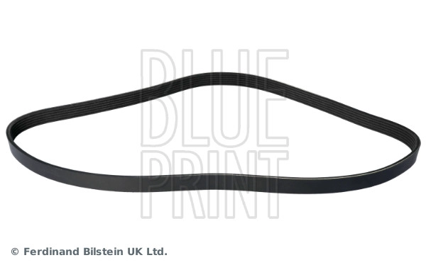 V-Ribbed Belt (AD06A1194)