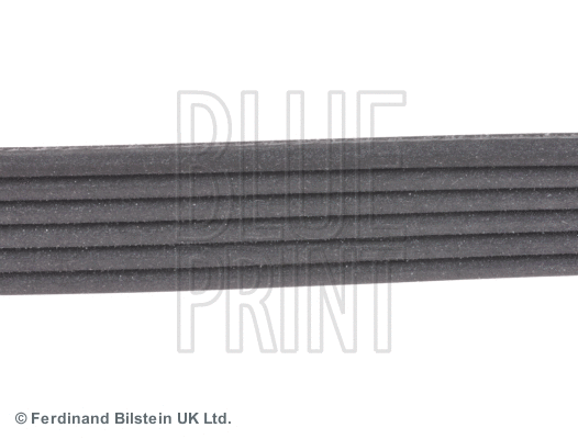 V-Ribbed Belt