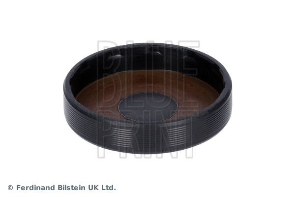 Plug, rocker arm shaft mounting bore