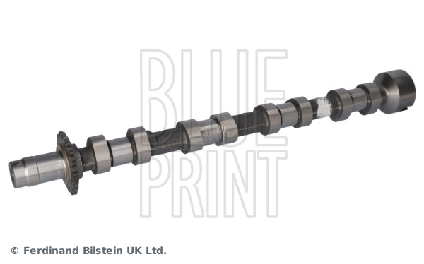 Camshaft (ADBP610137)
