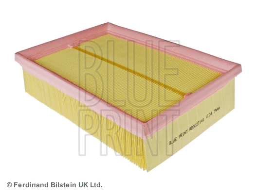Air Filter (ADG022141)