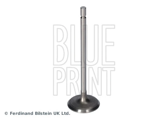 Intake Valve (ADBP610135)