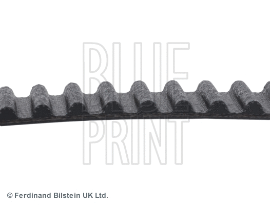 Timing Belt