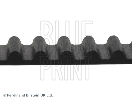 Timing Belt