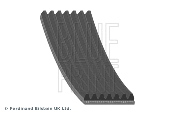 V-Ribbed Belt (AD07R1544)