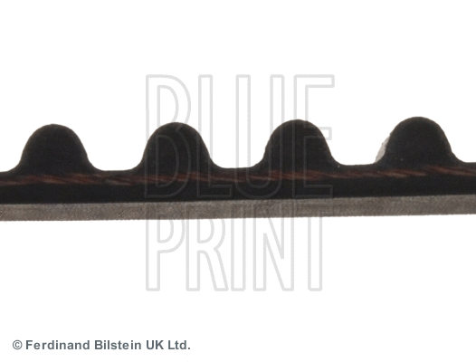 Timing Belt
