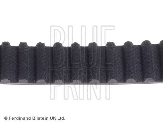Timing Belt