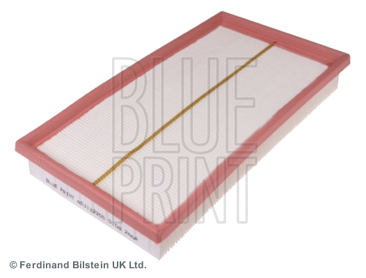 Air Filter (ADJ132205)