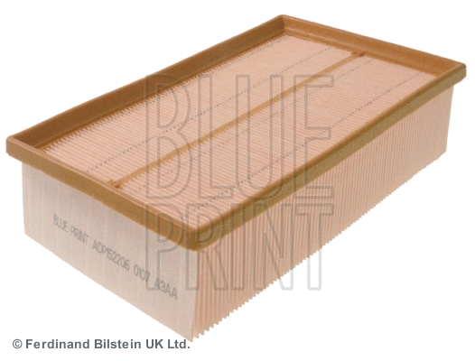 Air Filter (ADP152206)