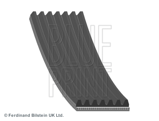 V-Ribbed Belt (AD07R2875)