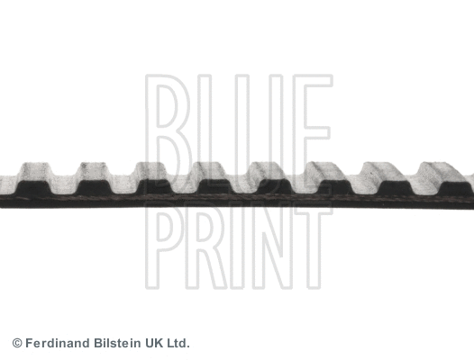 Timing Belt