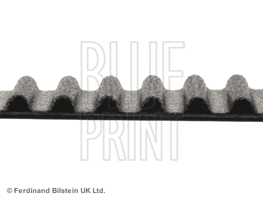 Timing Belt