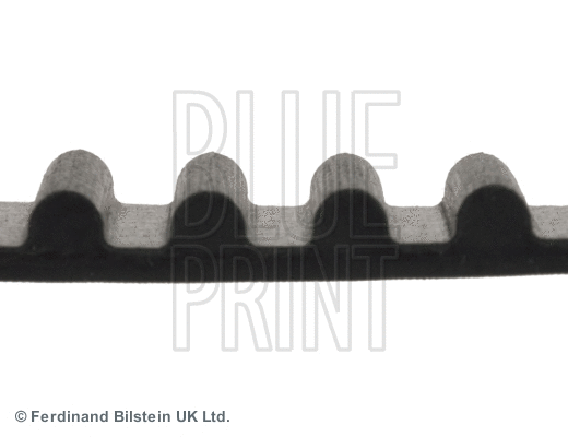 Timing Belt