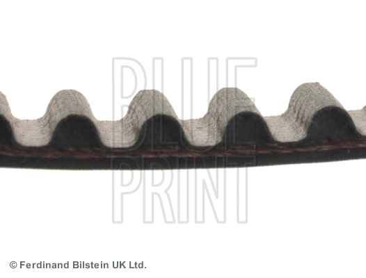 Timing Belt