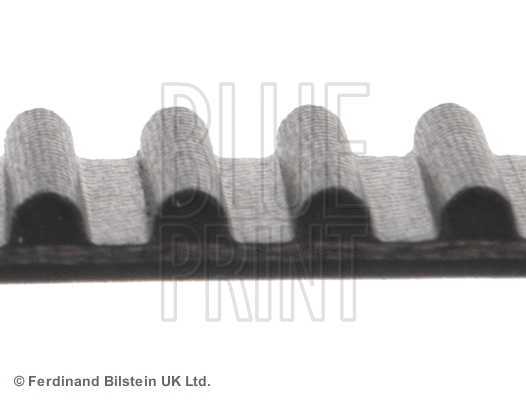 Timing Belt