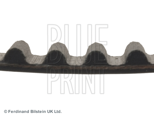 Timing Belt