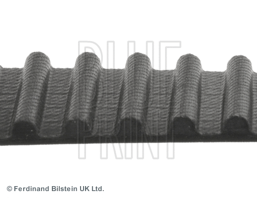 Timing Belt