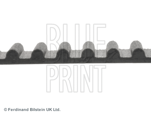 Timing Belt