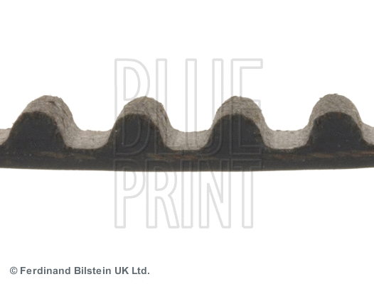 Timing Belt