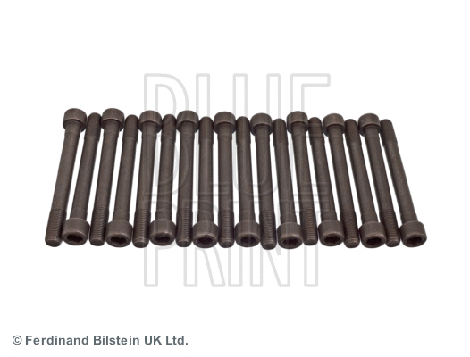 Cylinder Head Bolt Set (ADG07804)