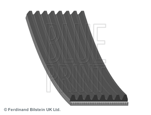 V-Ribbed Belt (AD08R1355)